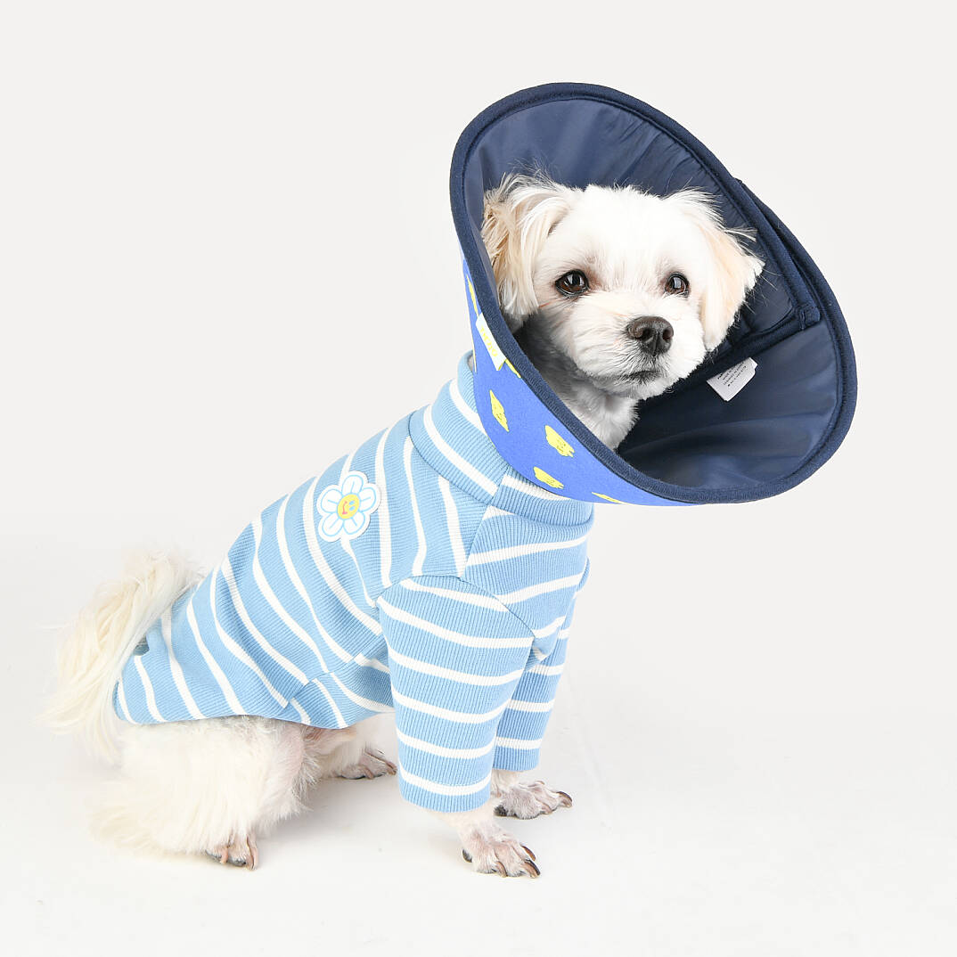 JELLY BEAR NECK COLLAR KÖPEK YAKALIĞI - 6