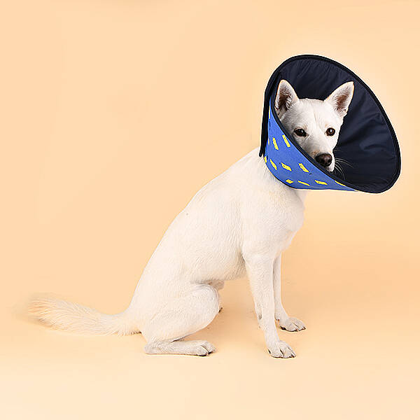JELLY BEAR NECK COLLAR KÖPEK YAKALIĞI - 7