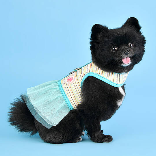 JOIE FLIRT HARNESS / AQUA - 6