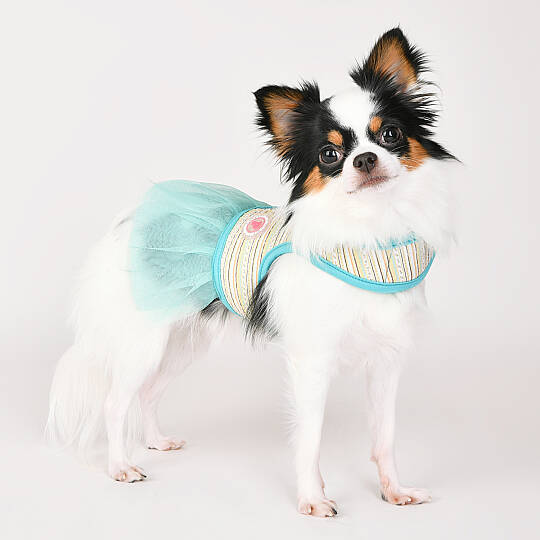 JOIE FLIRT HARNESS / AQUA - 7