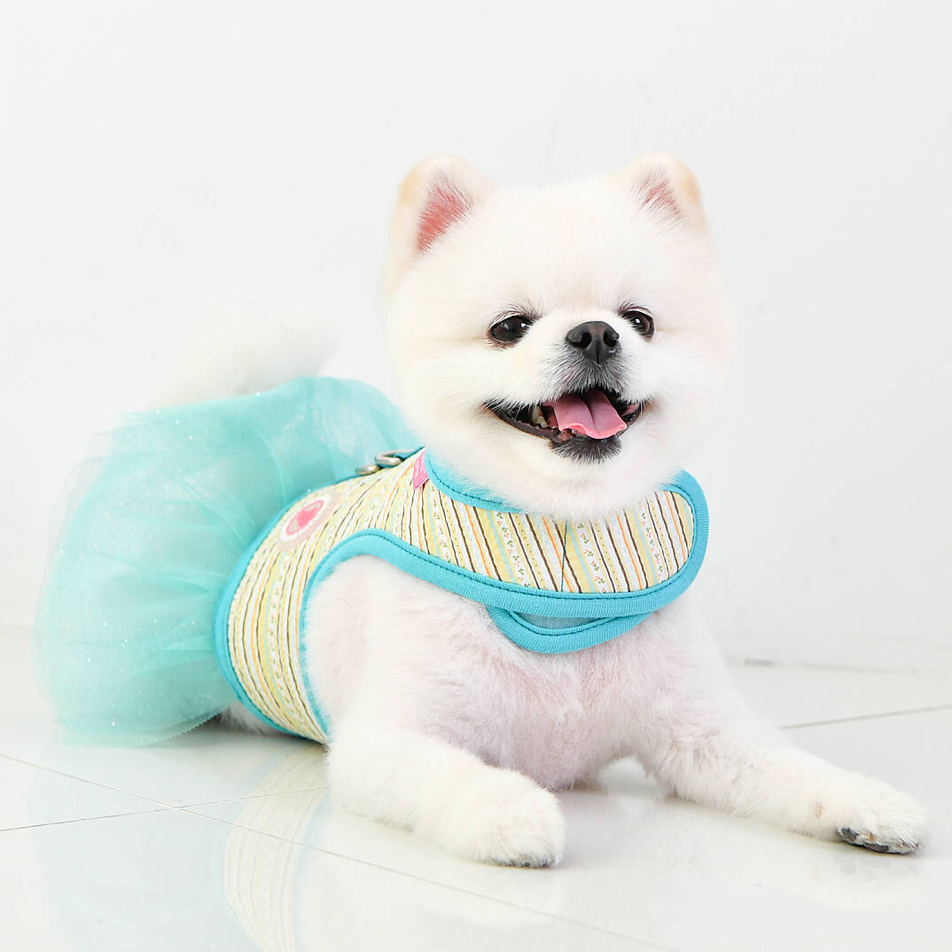 JOIE FLIRT HARNESS / AQUA - 8