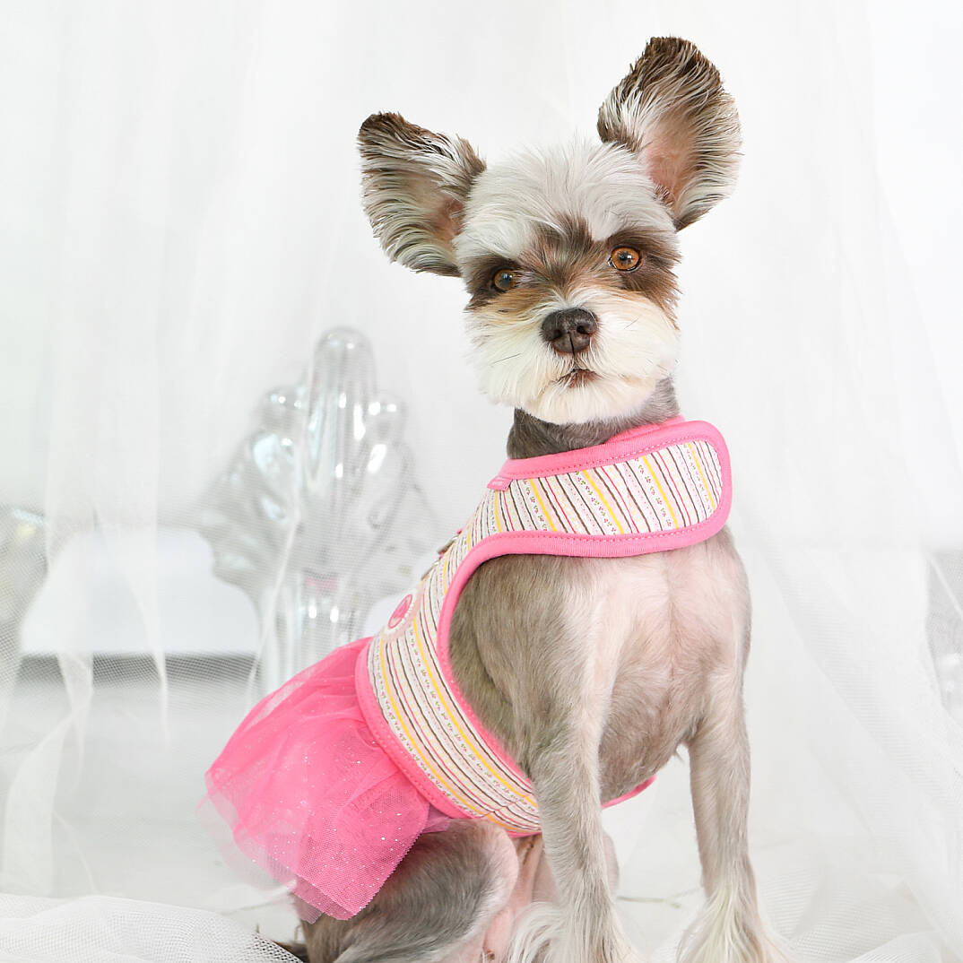 JOIE FLIRT HARNESS / PINK - 6