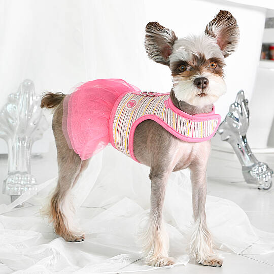 JOIE FLIRT HARNESS / PINK - 7