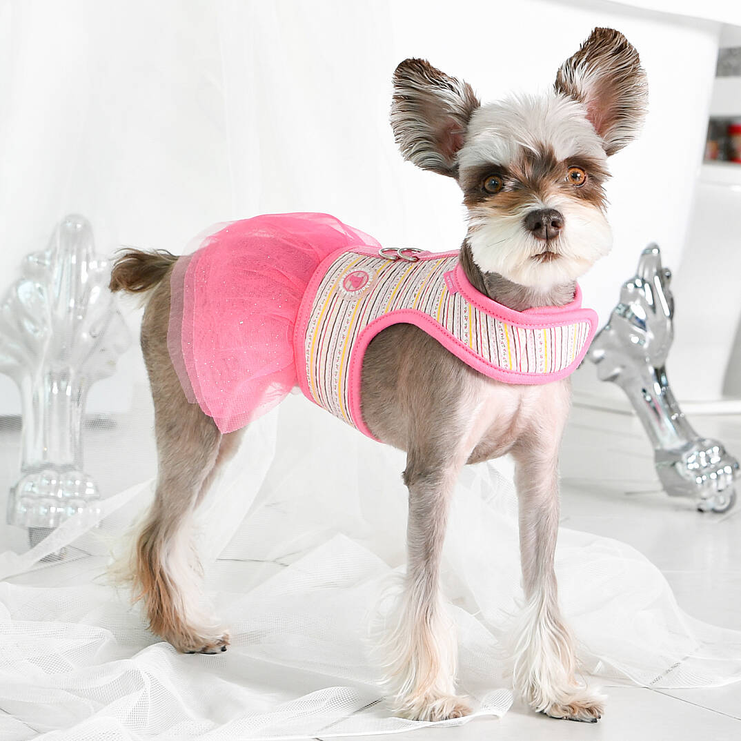 JOIE FLIRT HARNESS / PINK - 7