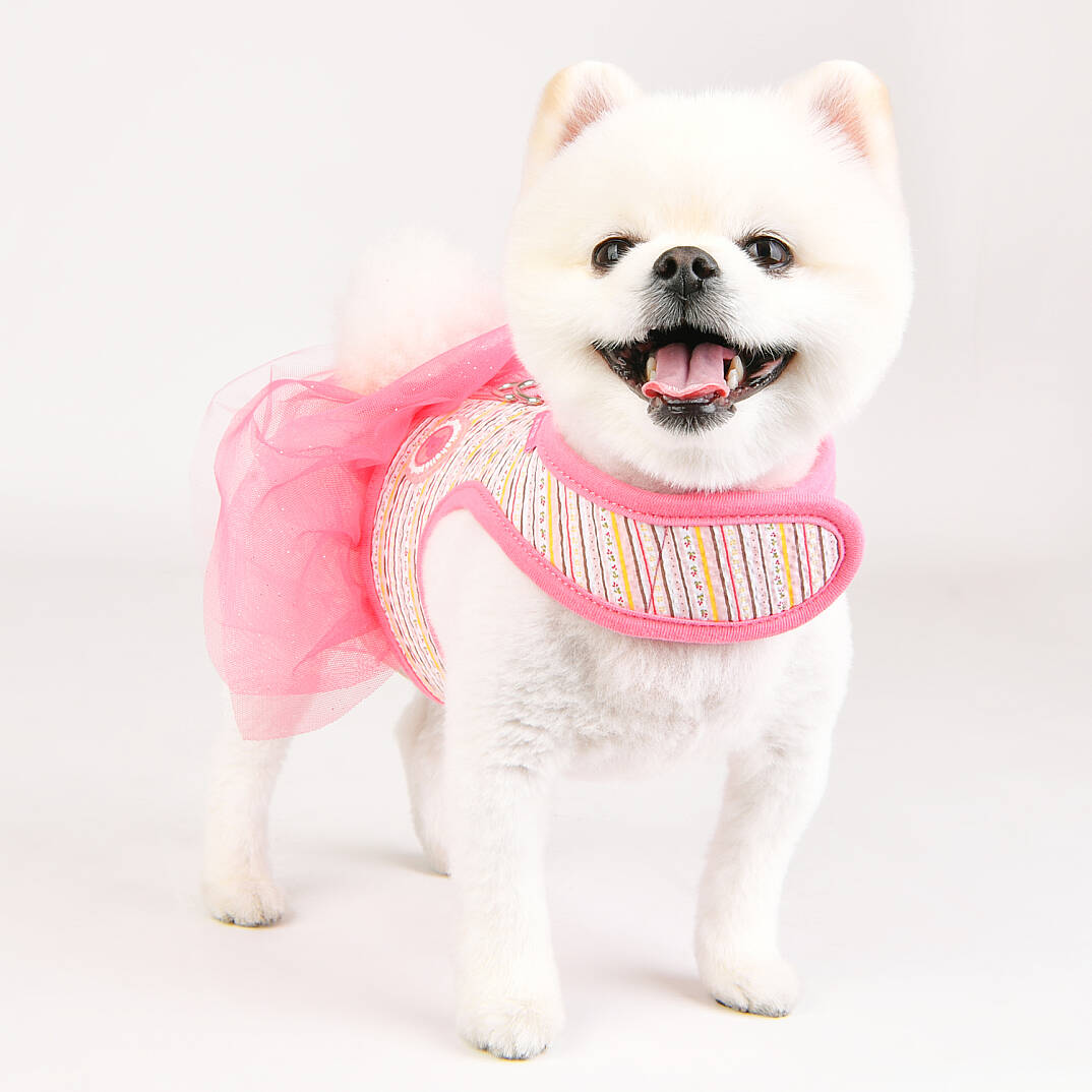 JOIE FLIRT HARNESS / PINK - 8