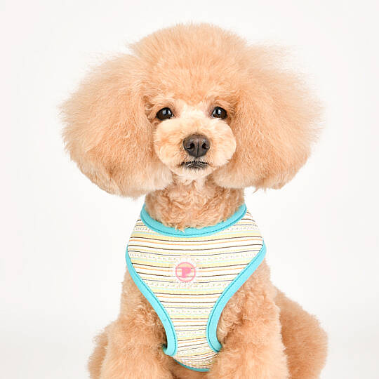 JOIE HARNESS / AQUA - 7