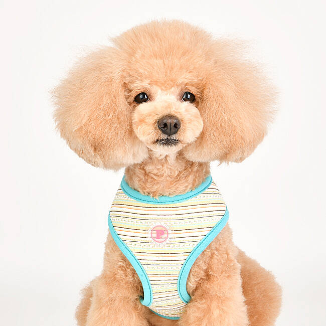 JOIE HARNESS / AQUA - 7
