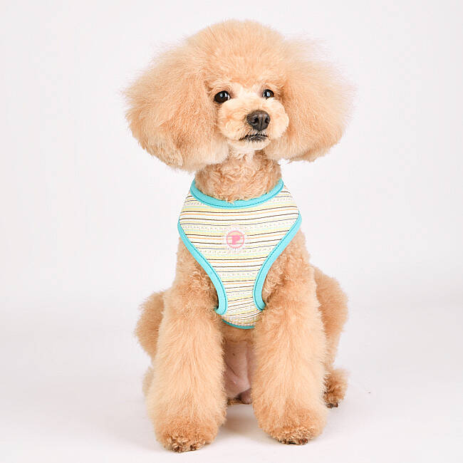 JOIE HARNESS / AQUA - 8
