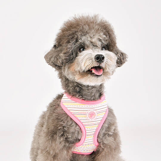 JOIE HARNESS / PINK - 7