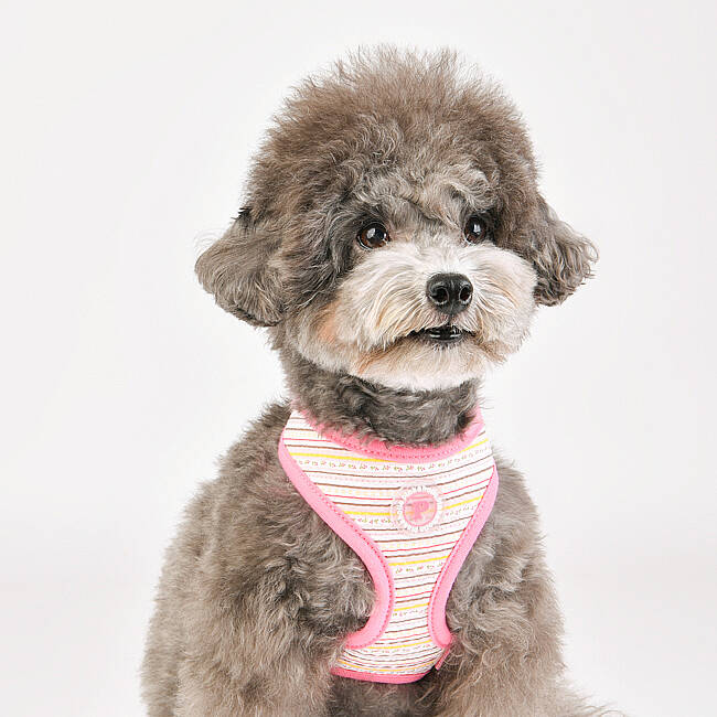 JOIE HARNESS / PINK - 8