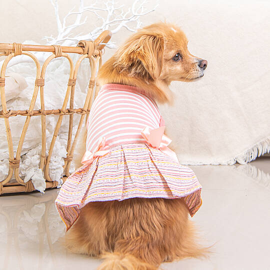 Joie Köpek Kıyafeti - 6