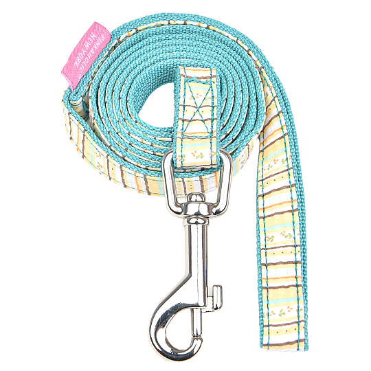 JOIE LEASH / AQUA