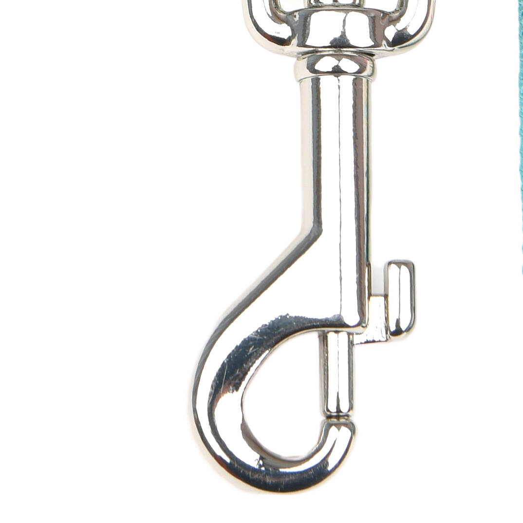 JOIE LEASH / AQUA - 3