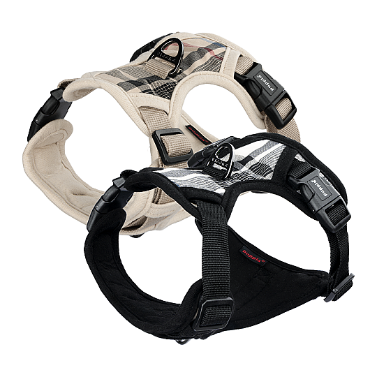 JUNIOR HARNESS H / BEIGE - 7
