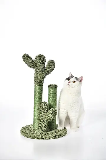 Kaktüs Tasarımlı Kedi Tırmalama Ağacı