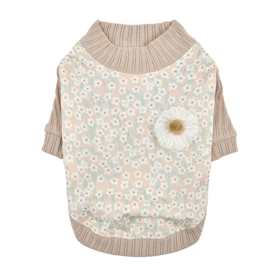 Kalina/BEIGE - 1