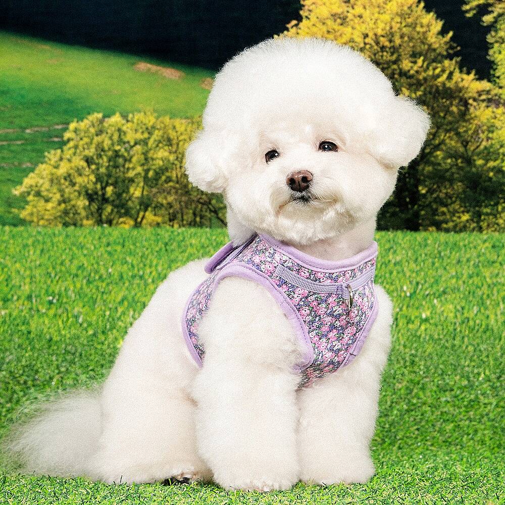 KEALOHA HARNESS B PAZA-HB2183-VI - 3