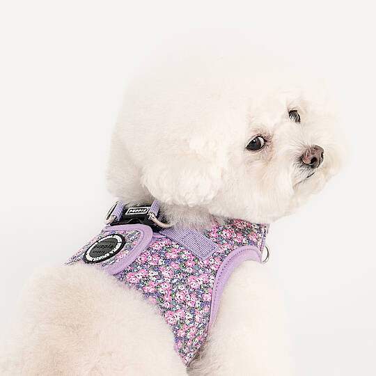 KEALOHA HARNESS B PAZA-HB2183-VI - 4