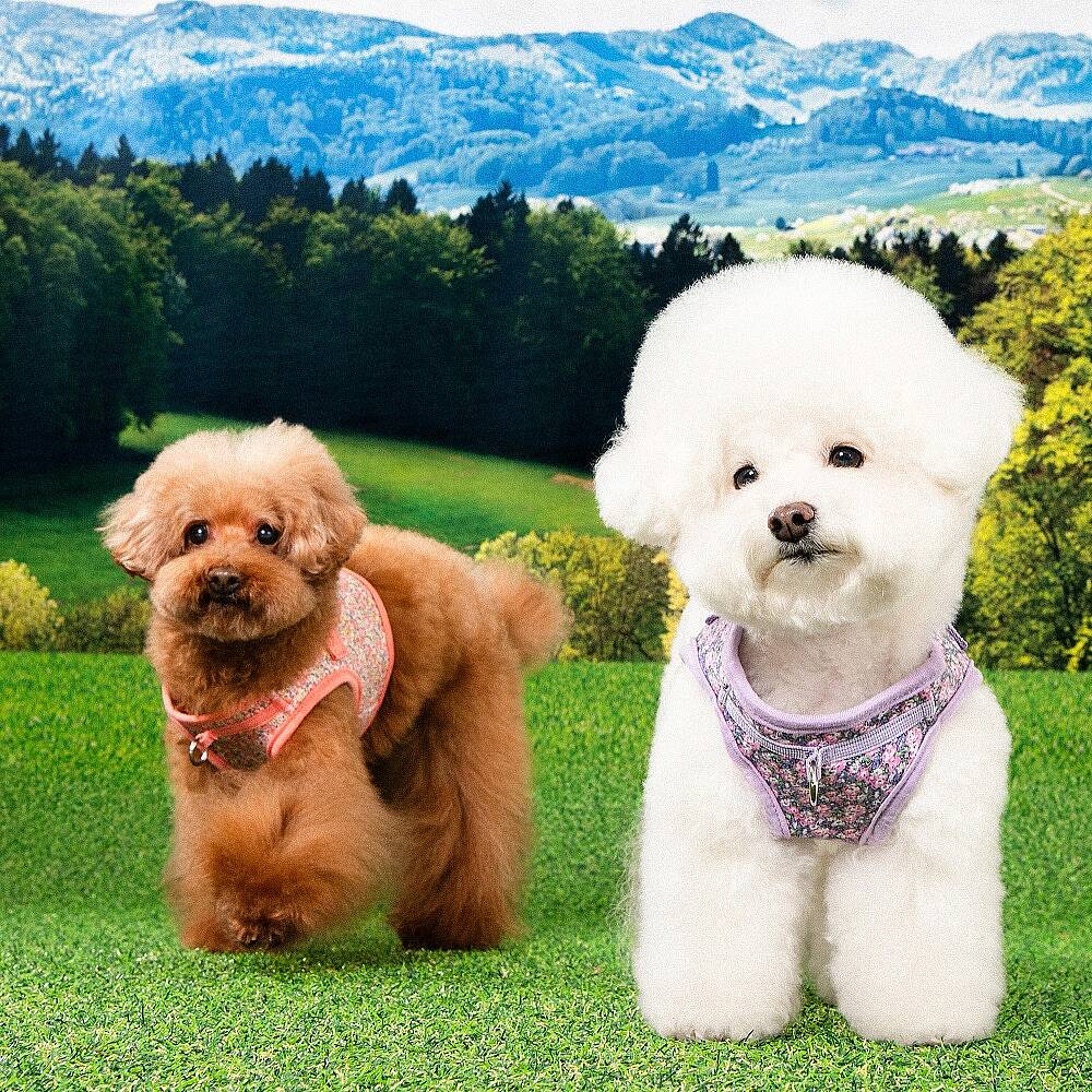 KEALOHA HARNESS B PAZA-HB2183-VI - 5