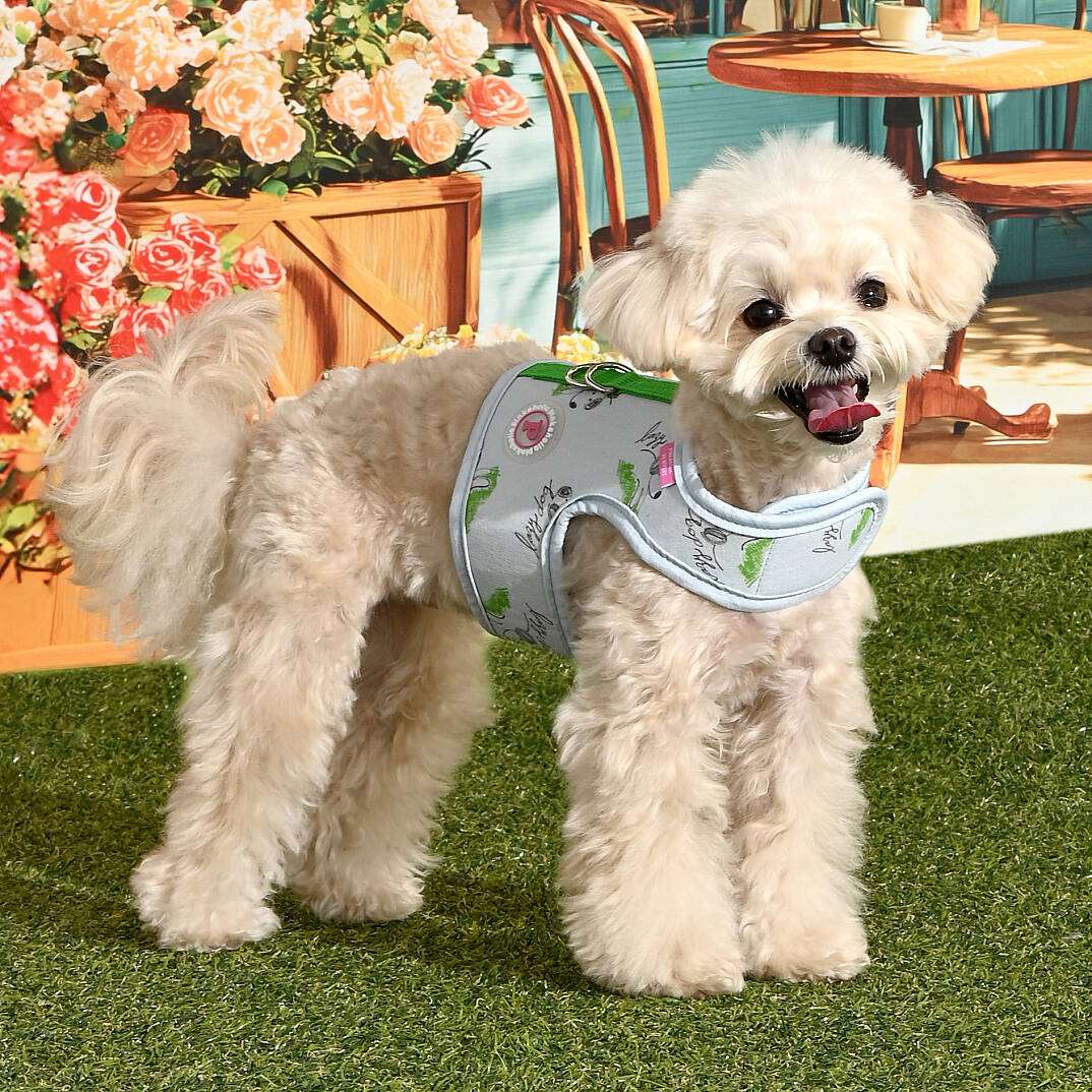 KIKI HARNESS J/LIGHT BLUE - 3