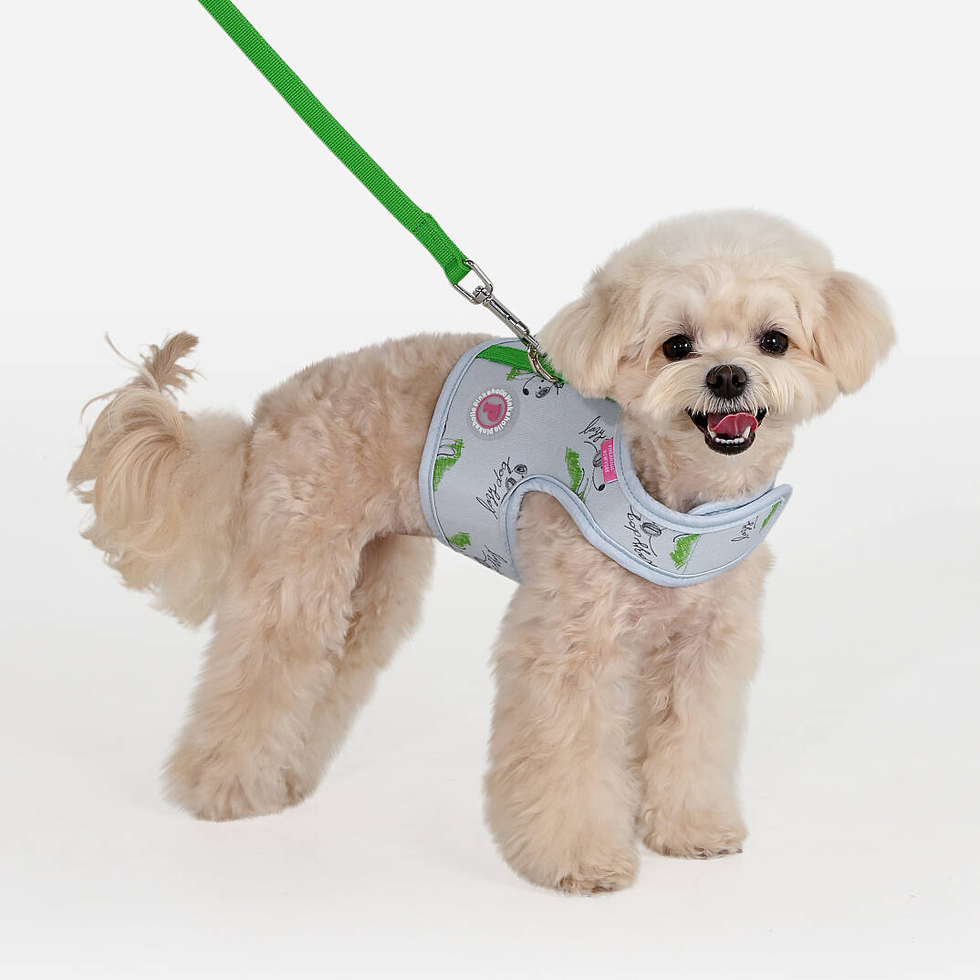 KIKI HARNESS J/LIGHT BLUE - 4