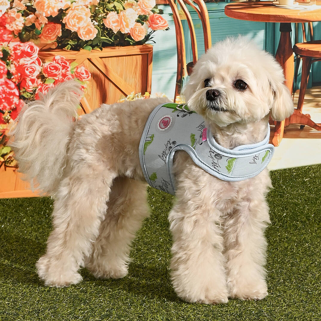 KIKI HARNESS J/LIGHT BLUE - 6