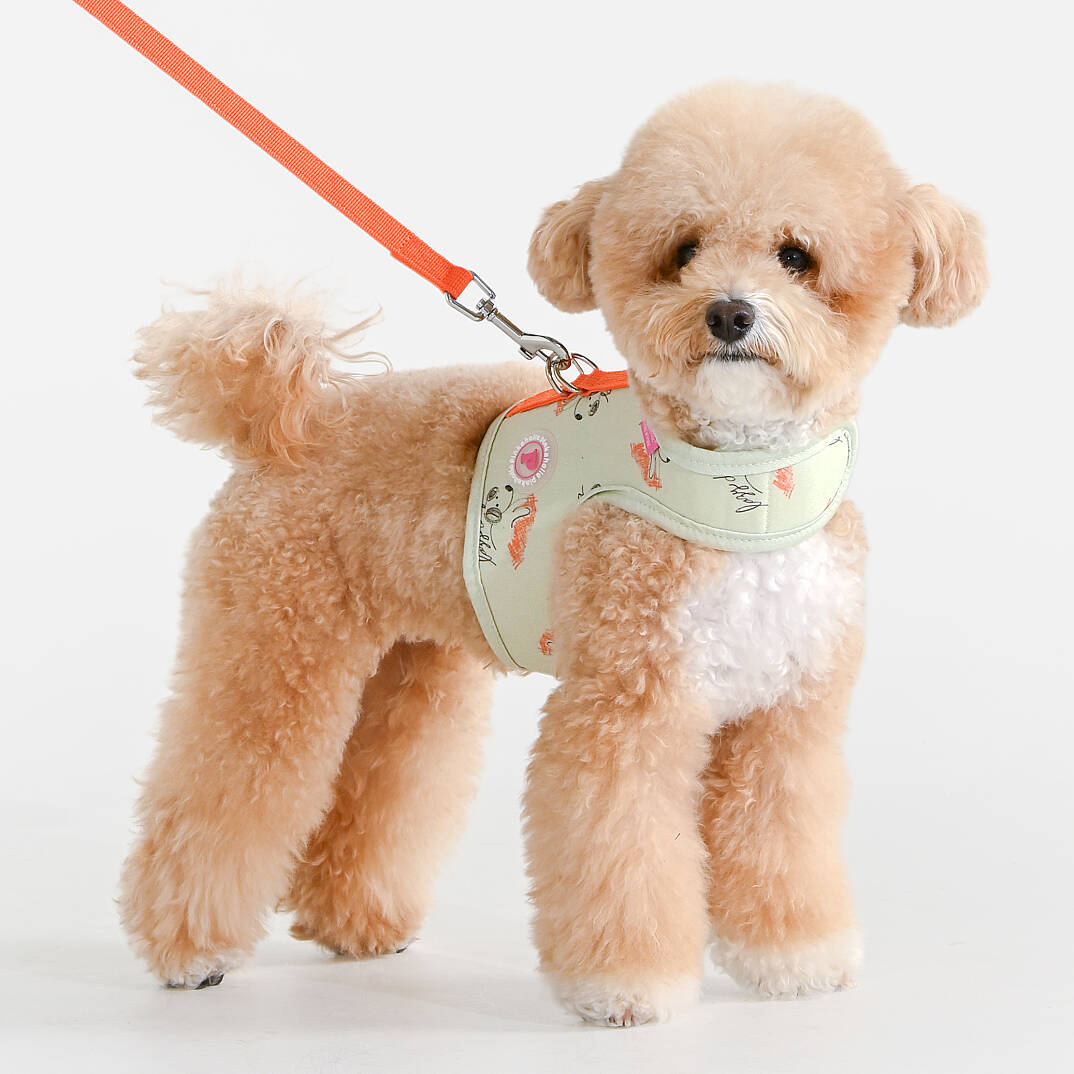 KIKI HARNESS J/LIGHT LIME - 4