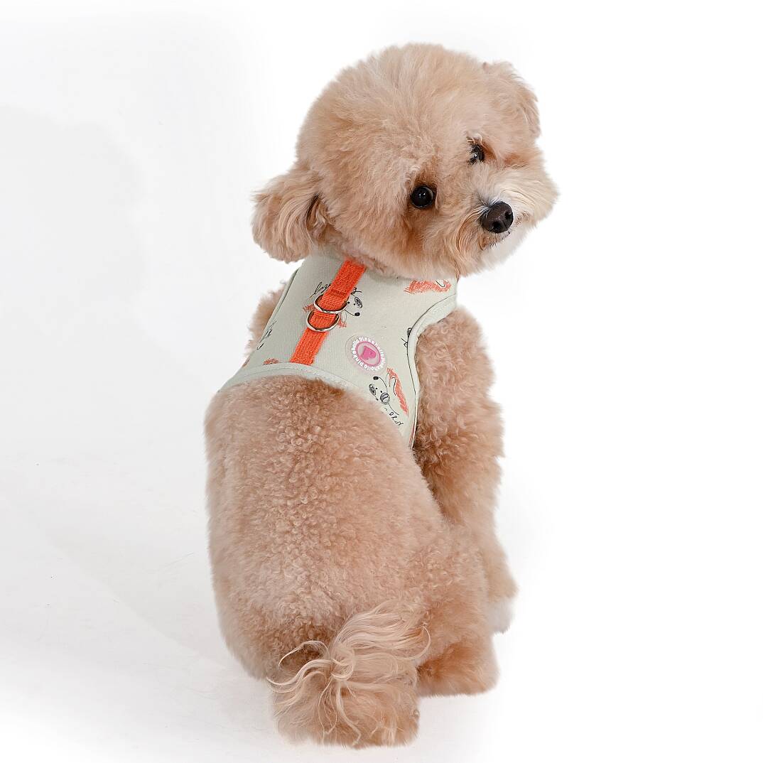 KIKI HARNESS J/LIGHT LIME - 5