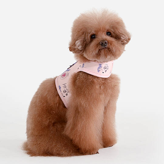 KIKI HARNESS J/LT.PINK - 3