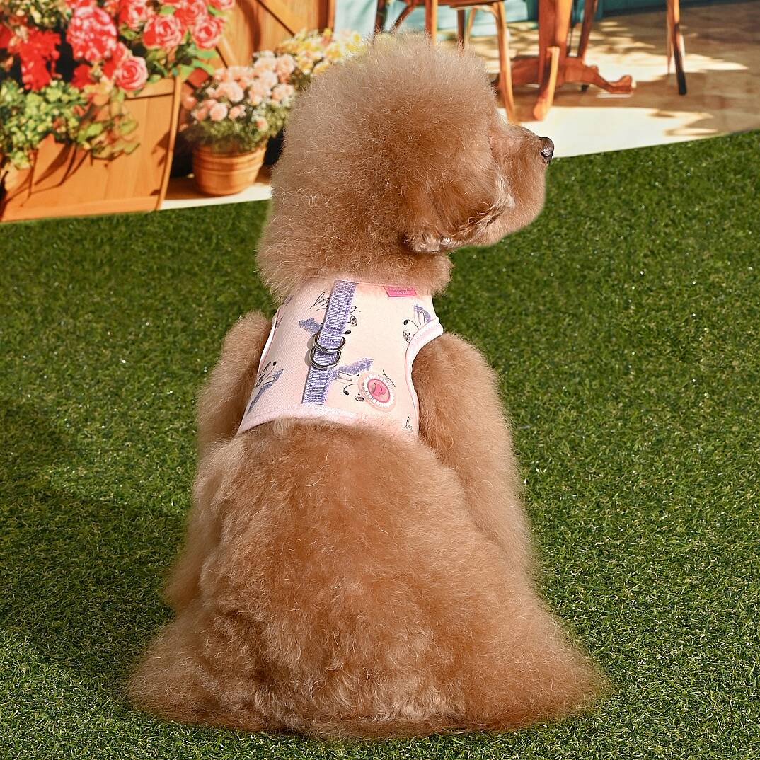 KIKI HARNESS J/LT.PINK - 5