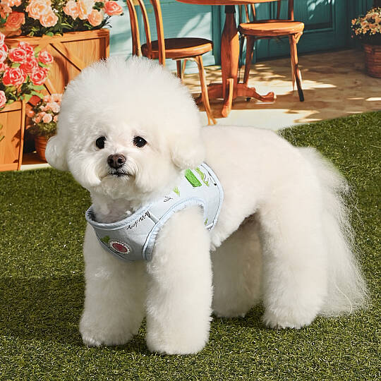 KIKI VEST HARNESS/LIGHT BLUE - 6
