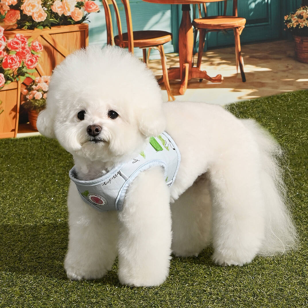 KIKI VEST HARNESS/LIGHT BLUE - 6