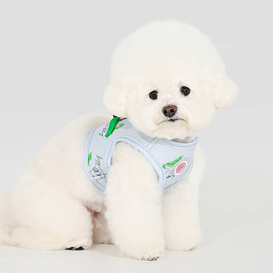 KIKI VEST HARNESS/LIGHT BLUE - 8