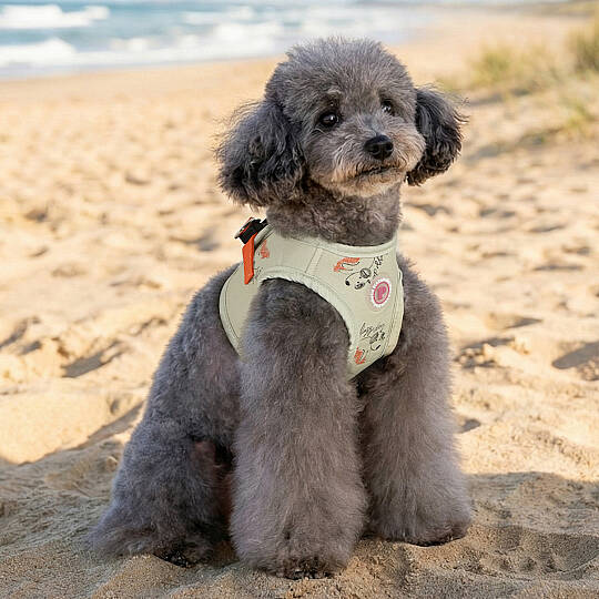 KIKI VEST HARNESS/LIGHT LIME - 5