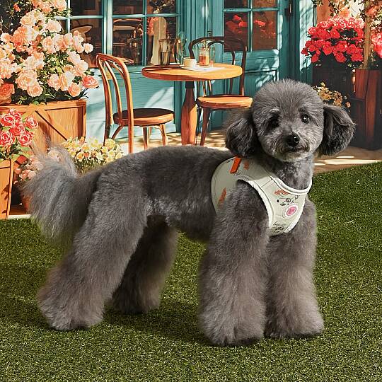 KIKI VEST HARNESS/LIGHT LIME - 6