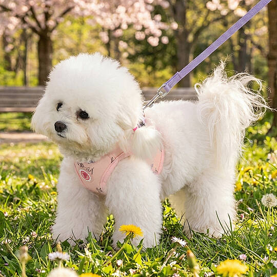 KIKI VEST HARNESS/LT.PINK - 5
