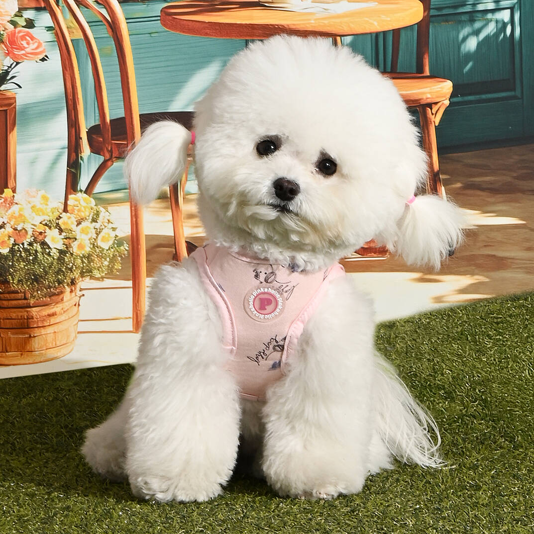 KIKI VEST HARNESS/LT.PINK - 6