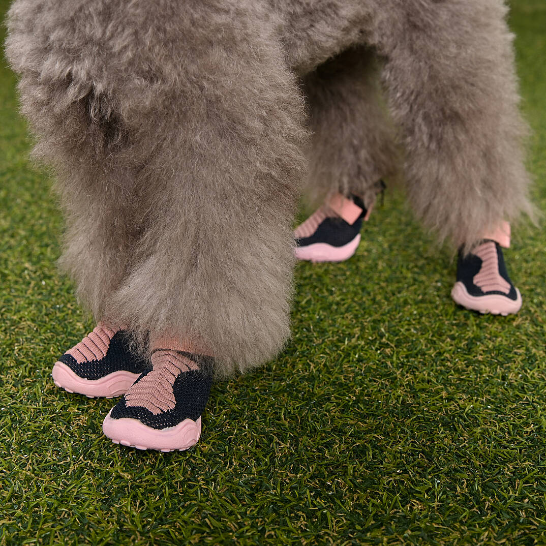 Knitted Comfort Shoes Köpek Ayakkabısı - 7