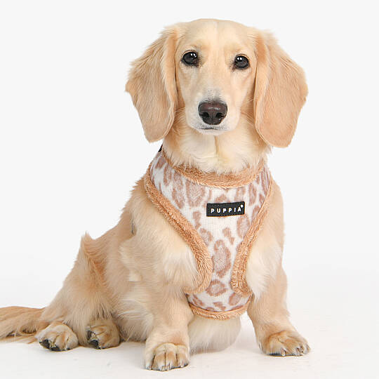 Kovo Harness A/BEIGE/PAXD-HA2041-BE - 3