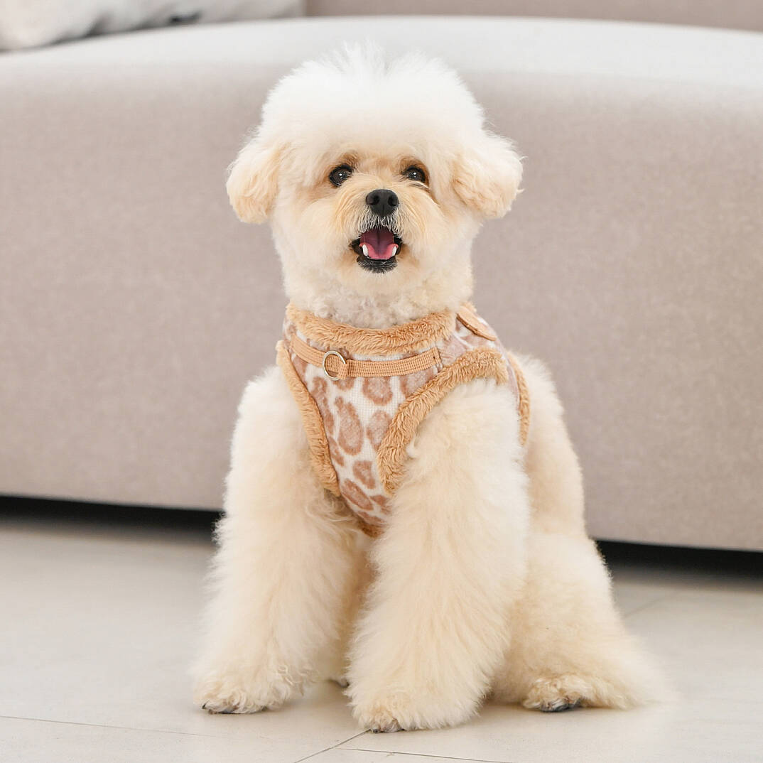 Kovo Harness B/BEIGE/PAXD-HB2041-BE - 4