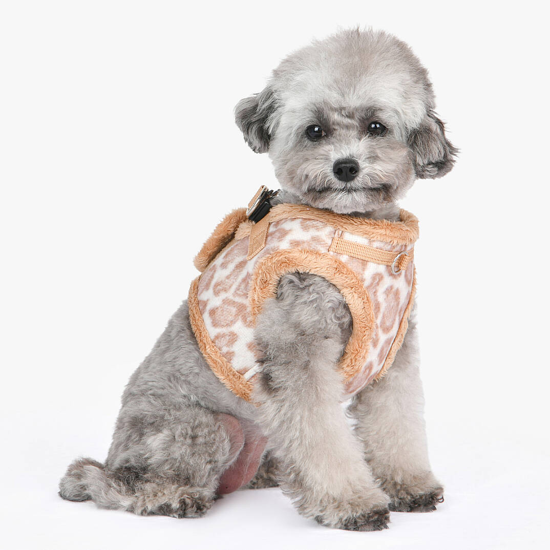 Kovo Harness B/BEIGE/PAXD-HB2041-BE - 5