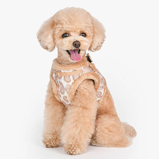 Kovo Harness B/BEIGE/PAXD-HB2041-BE - 6