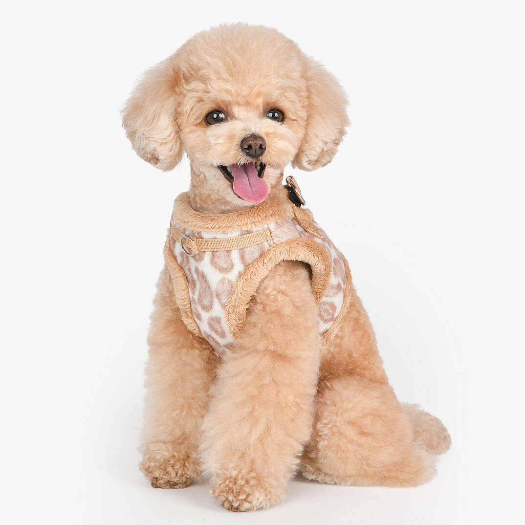 Kovo Harness B/BEIGE/PAXD-HB2041-BE - 6