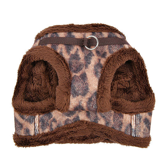 Kovo Harness B/BROWN/PAXD-HB2041-BR - 2