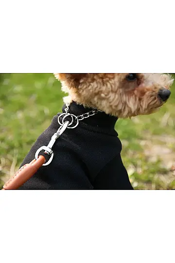 Krom Zincir Köpek Boyun Tasması Small - 5