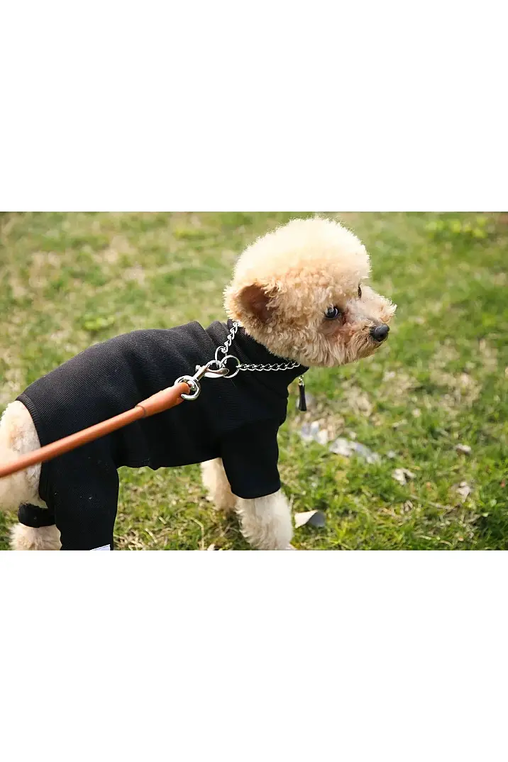 Krom Zincir Köpek Boyun Tasması Small - 6