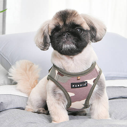 LANCE HARNESS B PAVA-HB1906-CA - 6