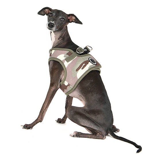 LANCE HARNESS B PAVA-HB1906-CA - 7