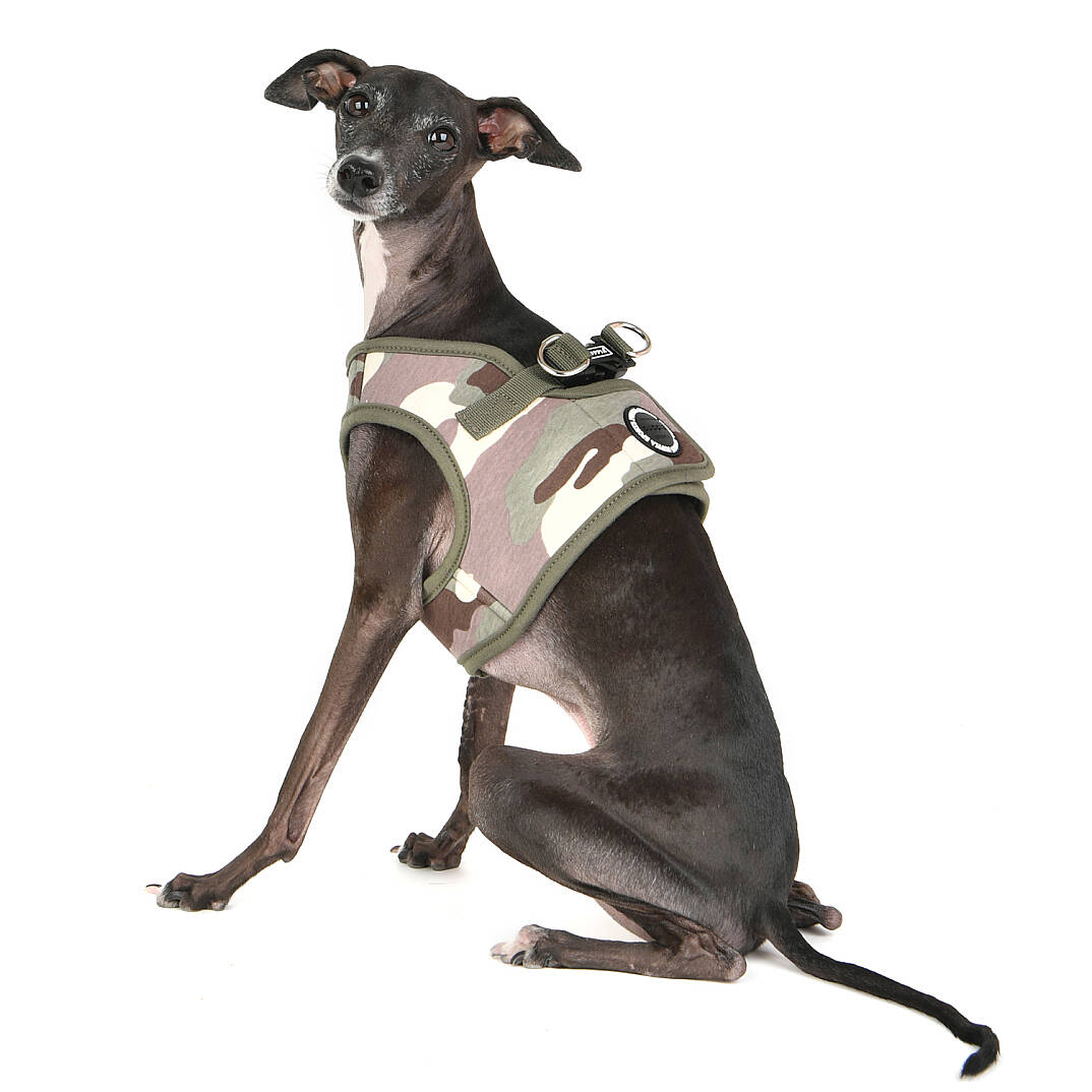 LANCE HARNESS B PAVA-HB1906-CA - 7