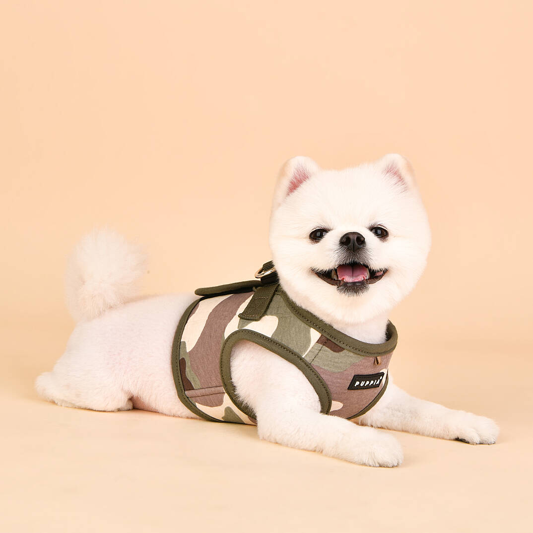 LANCE HARNESS B PAVA-HB1906-CA - 8